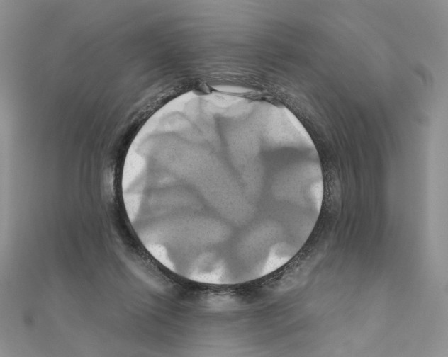X0000110990262200907311016