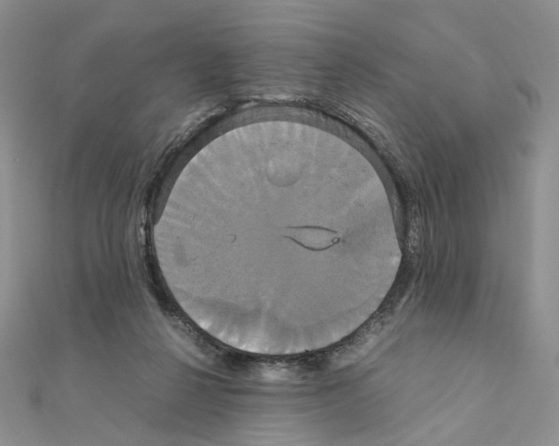 X0000110990264200907311016