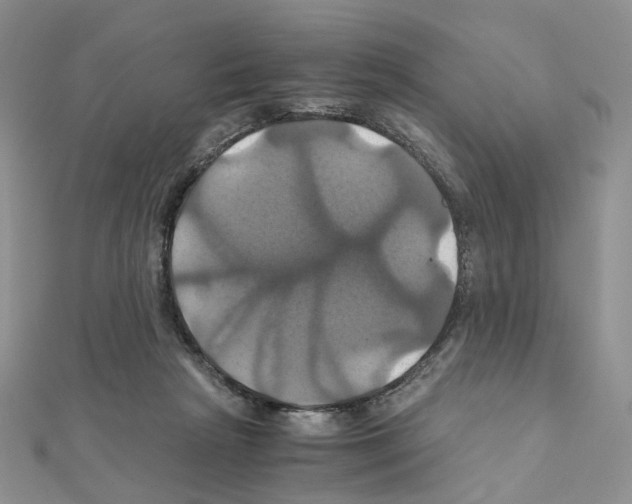X0000110990265200907311016