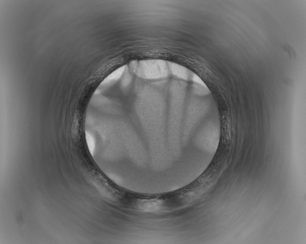 X0000110990266200907311016