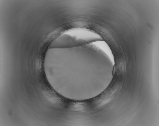 X0000110990268200907311016