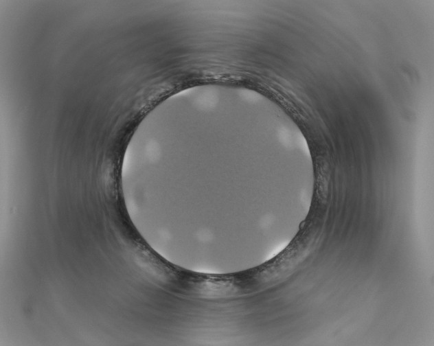 X0000110990270200907311016