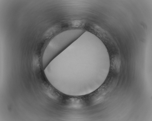 X0000110990272200907311016