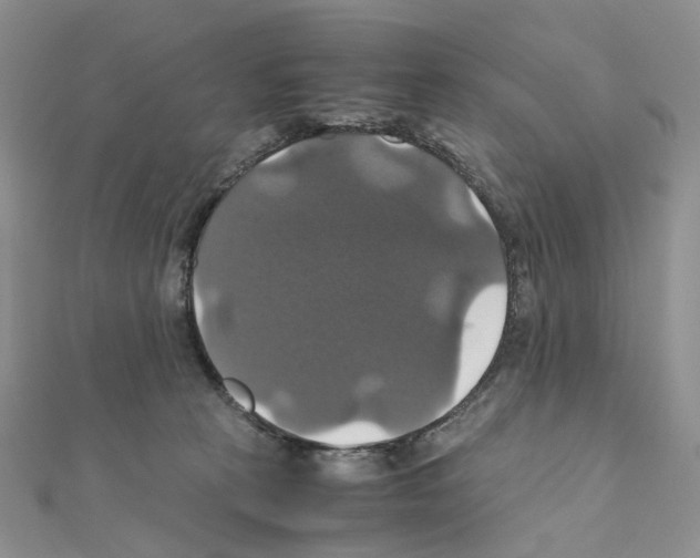 X0000110990273200907311016