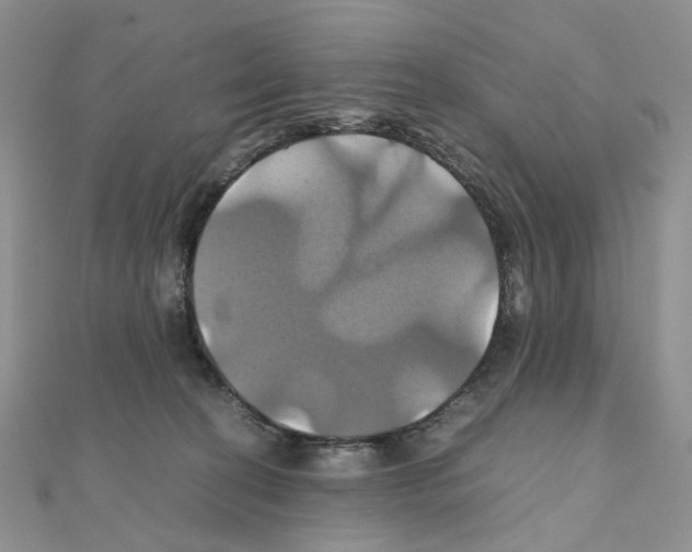 X0000110990274200907311016