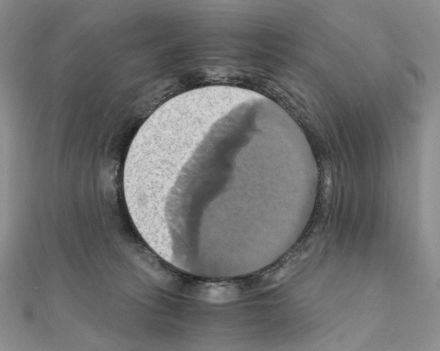 X0000110990275200907311016