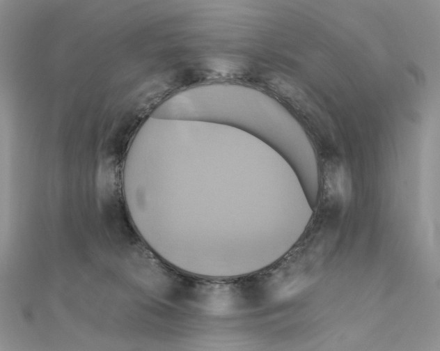 X0000110990276200907311016