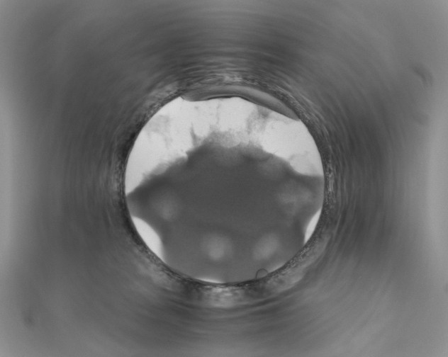 X0000110990277200907311016