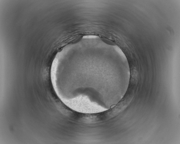 X0000110990278200907311016