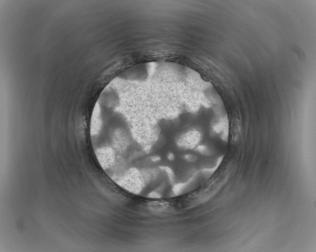 X0000110990279200907311016