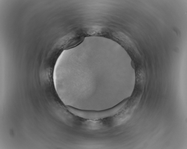 X0000110990280200907311016