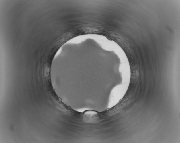 X0000110990281200907311016