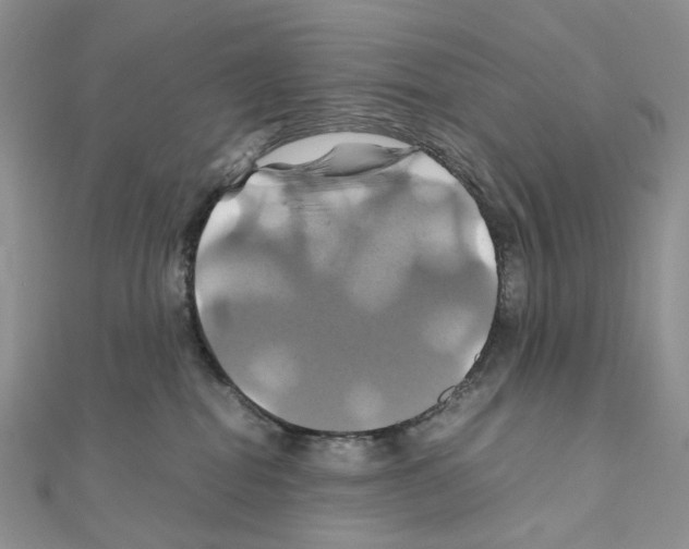 X0000110990282200907311016