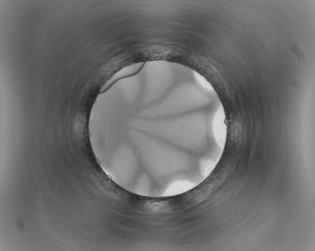 X0000110990283200907311016