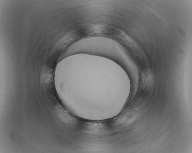 X0000110990284200907311016
