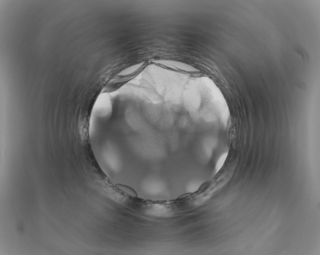 X0000110990285200907311016