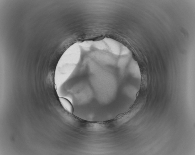 X0000110990286200907311016