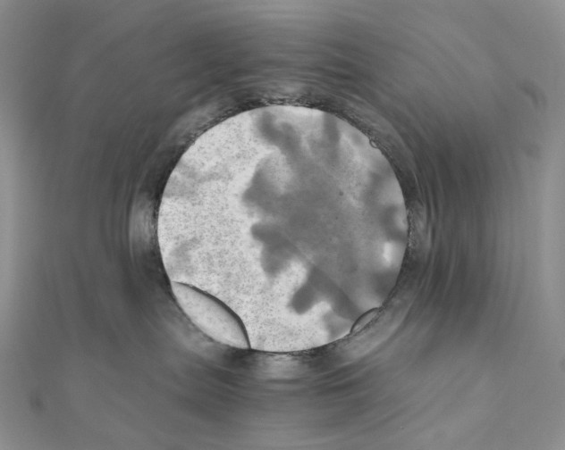 X0000110990287200907311016