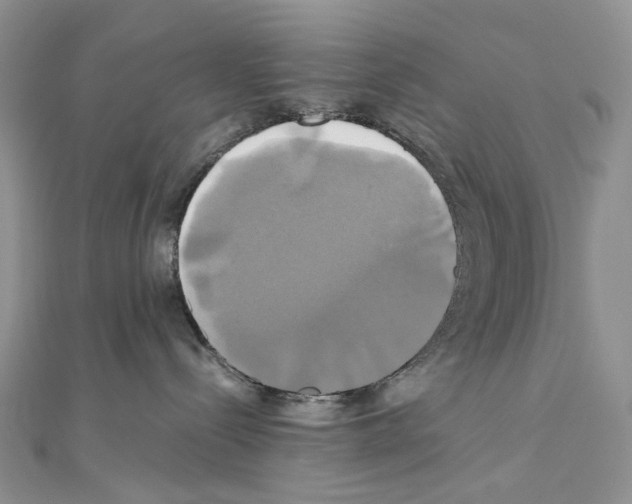 X0000110990288200907311016