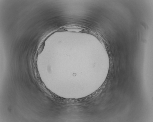 X0000110990289200907311016