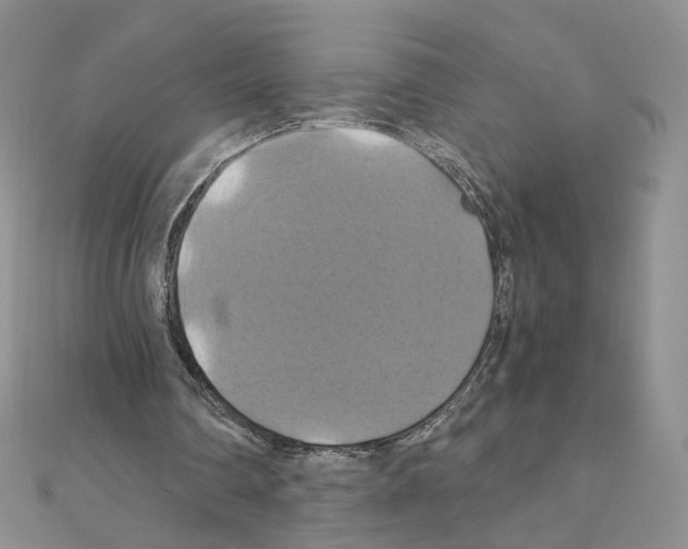 X0000110990290200907311016