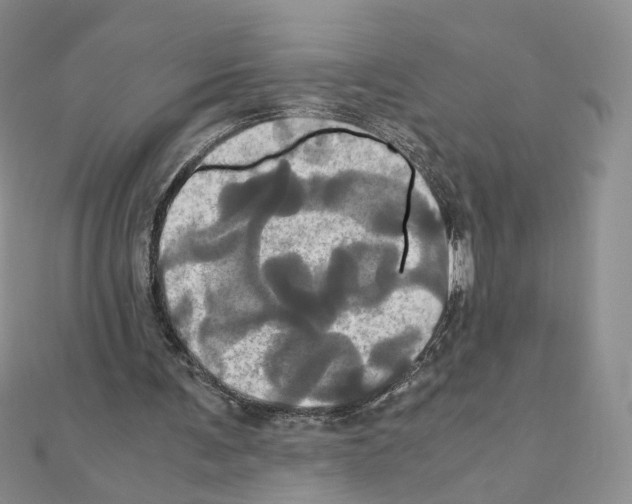 X0000110990291200907311016