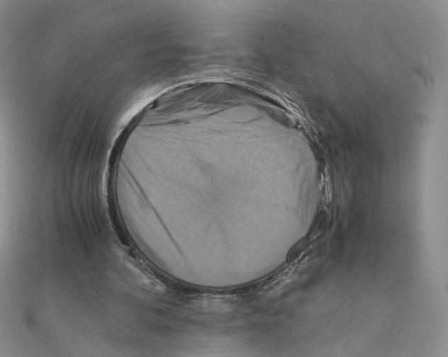 X0000110990292200907311015