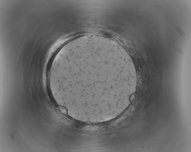 X0000110990294200907311015