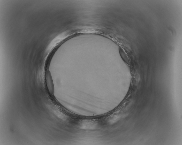 X0000110990296200907311015