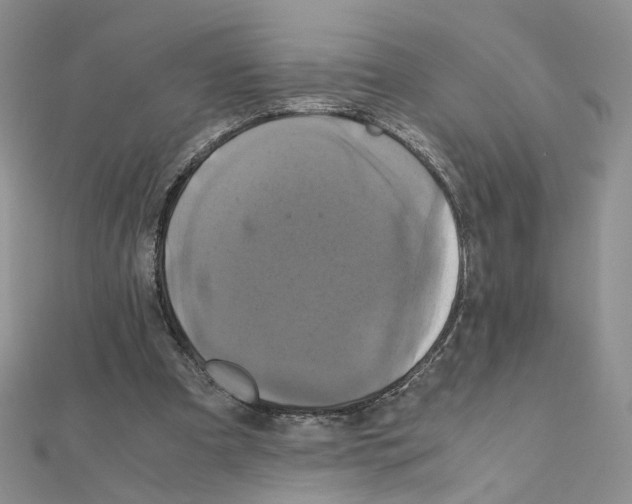 X0000110990297200907311015