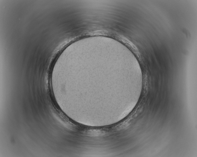 X0000110990298200907311015