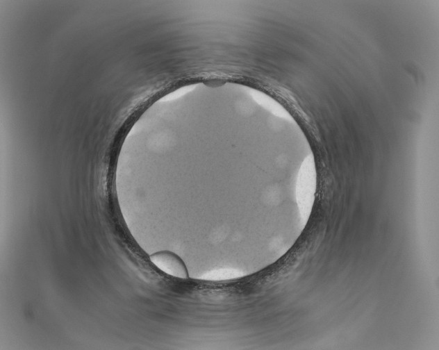 X0000110990299200907311015