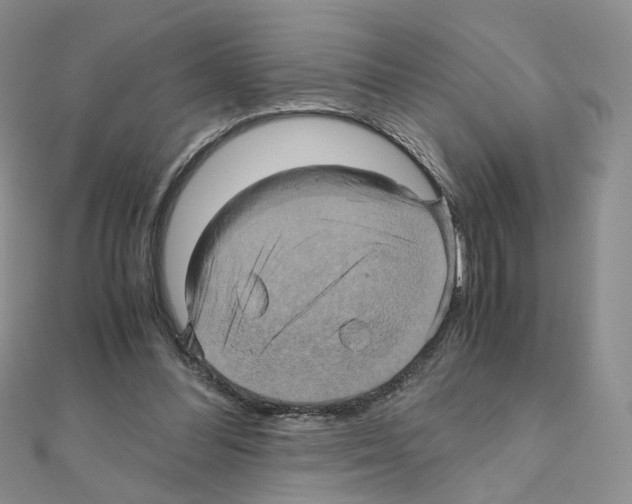 X0000110990300200907311015
