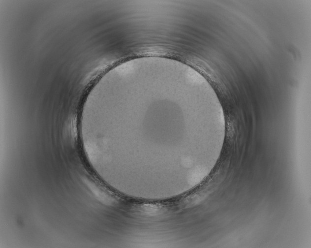 X0000110990302200907311015