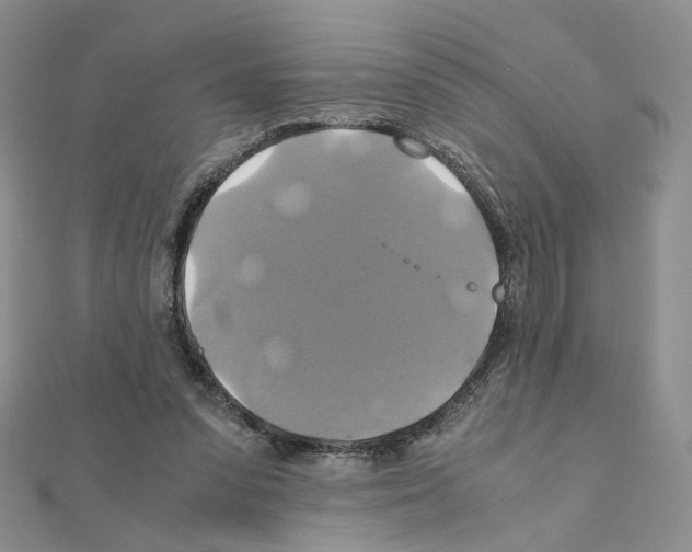 X0000110990303200907311015