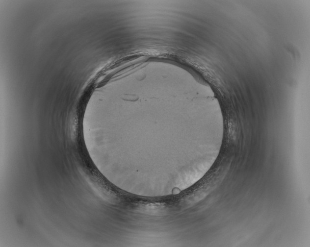 X0000110990304200907311015