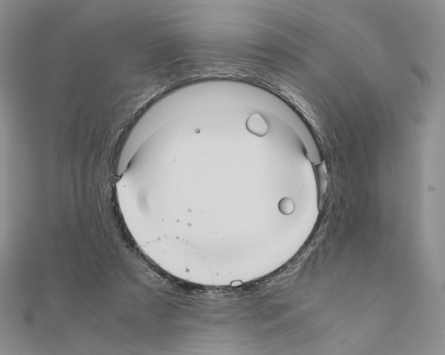X0000110990305200907311015