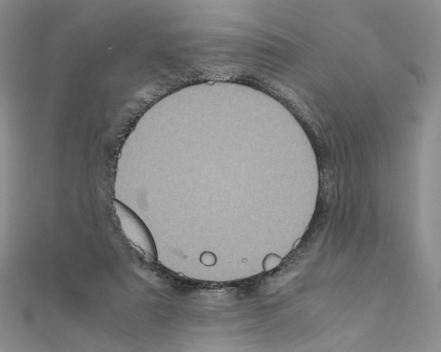 X0000110990307200907311015