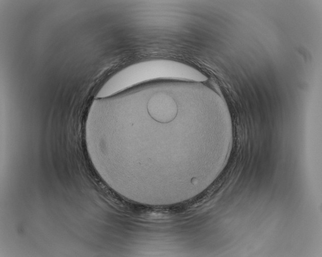 X0000110990308200907311015
