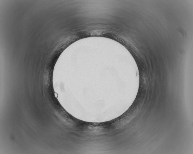 X0000110990311200907311015