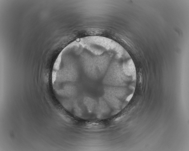 X0000110990315200907311015