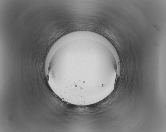 X0000110990317200907311015