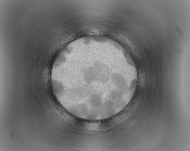 X0000110990318200907311015