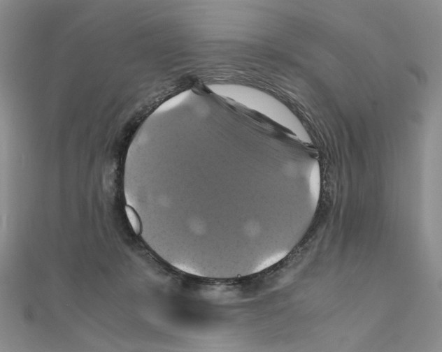 X0000110990319200907311015