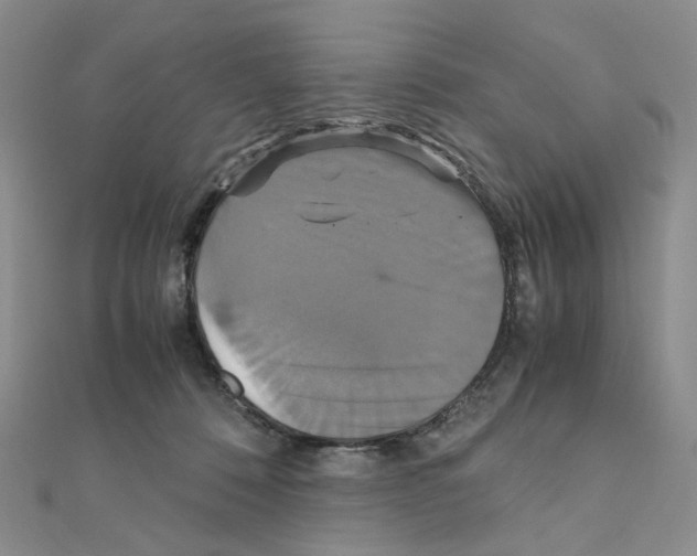 X0000110990320200907311015