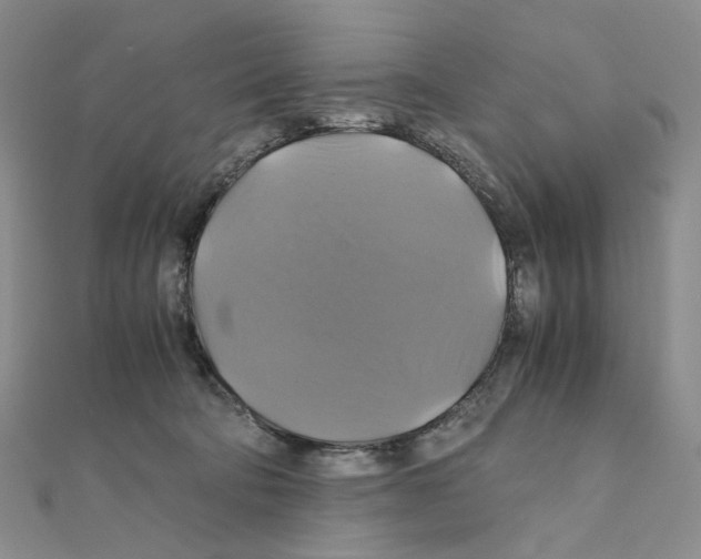 X0000110990322200907311015