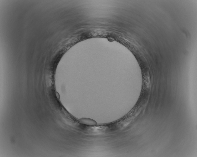 X0000110990323200907311015