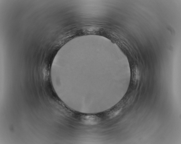 X0000110990324200907311015