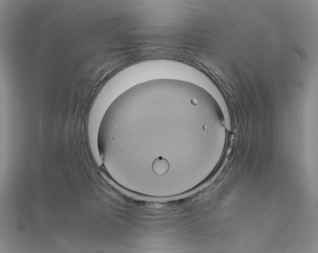X0000110990325200907311015