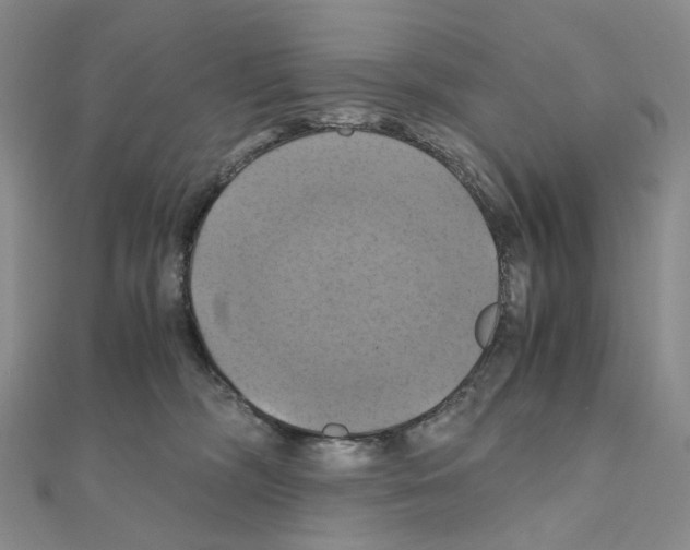 X0000110990326200907311015